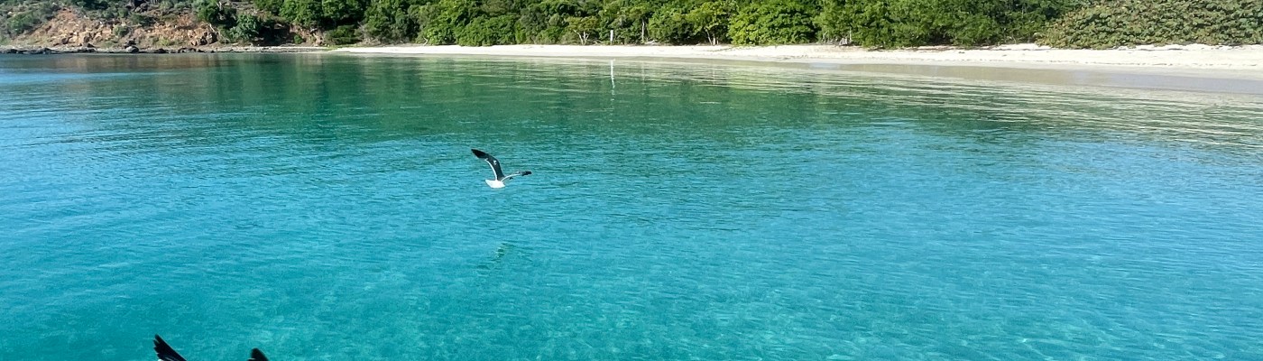 Necesitas obtener tu Licencia de Navegación? Para más información, llama al 939-277-7682