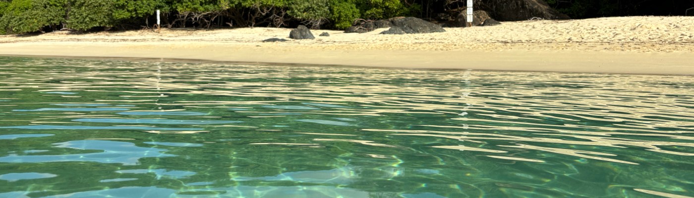 Necesitas obtener tu Licencia de Navegación? Para más información, llama al 939-277-7682